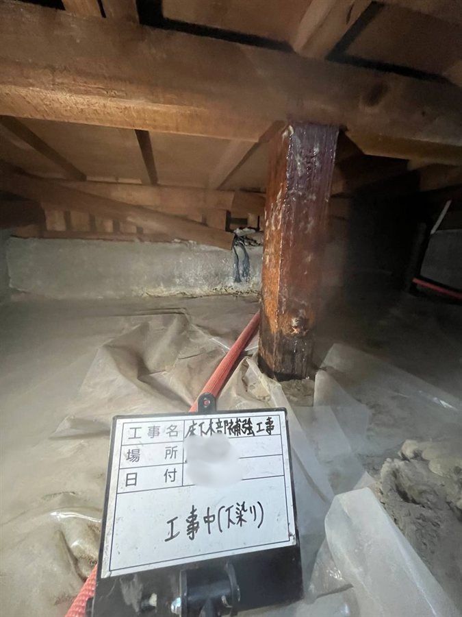 畳・床下のシロアリ食害